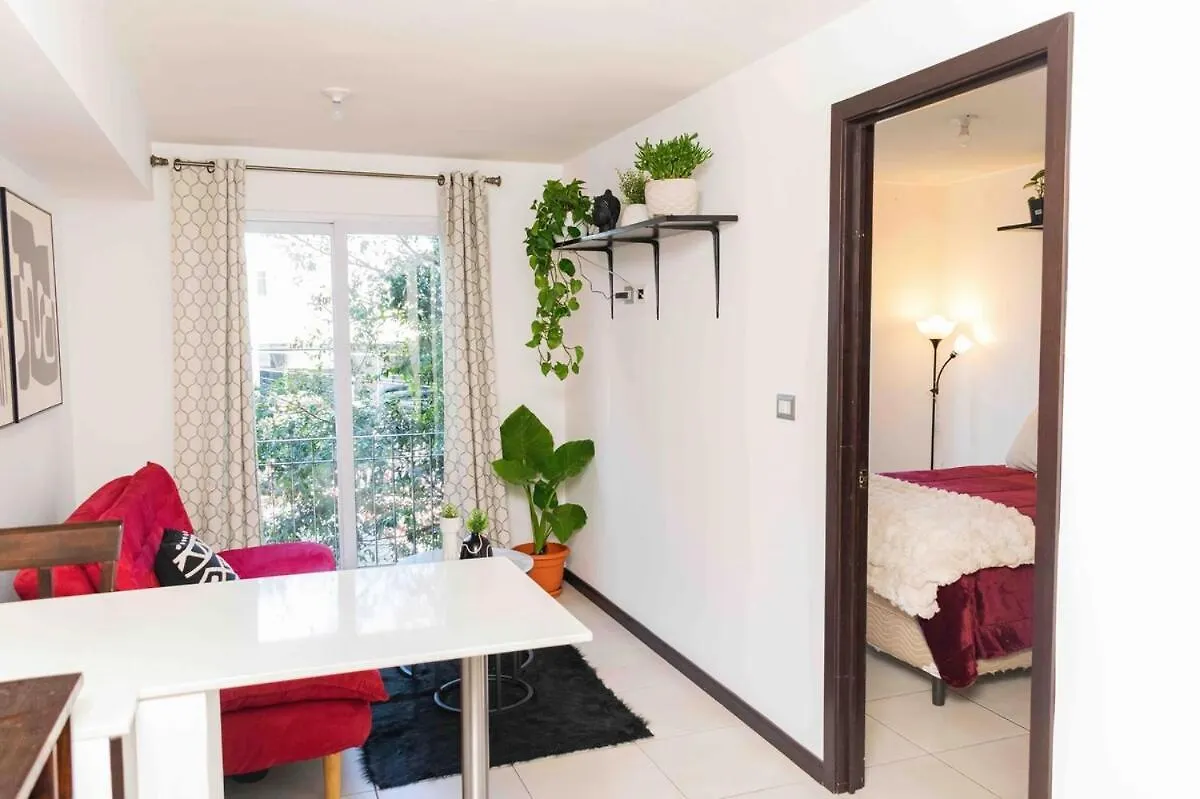 - Comfy Apartment With Terrace In Zone 4 - Guatemala City Guatemala