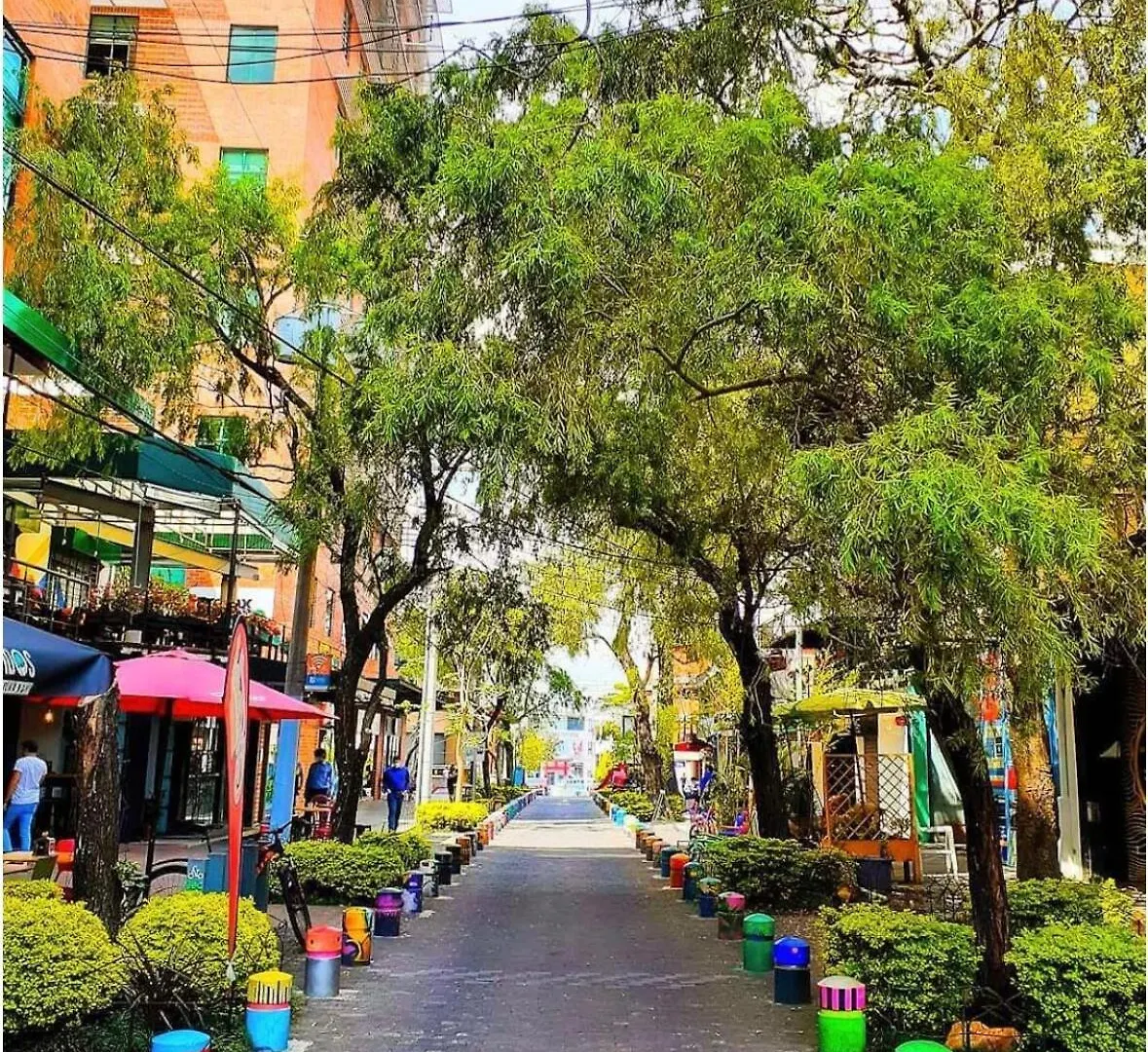 - Comfy Apartment With Terrace In Zone 4 - Guatemala City 0*,